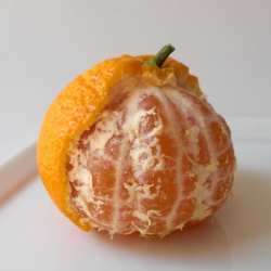 Bit of Satsuma Heaven