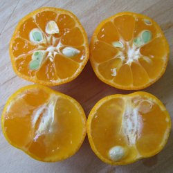 Candied Kalamansi Peel