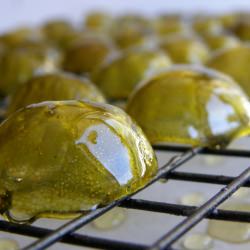 Candied Kalamansi Peel