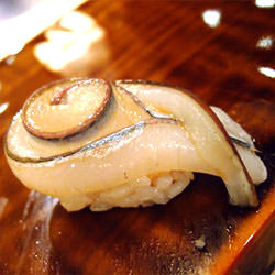 Sayori (Needlefish) at Urasawa