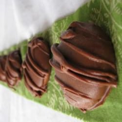 Chocolate Covered PepperMints