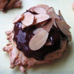 Coconut Macaroons w/Dark Chocolate