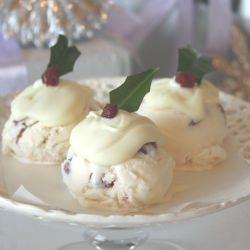 Rum and Craisin Ice Cream Puddings