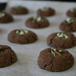 Chocolate Mint Cookie Drops