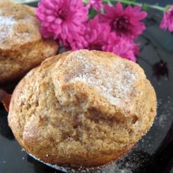 Spiced Yogurt Muffins