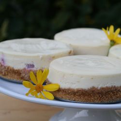 Four Flavors of Cheesecake