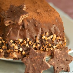 French Chocolate Yule Log