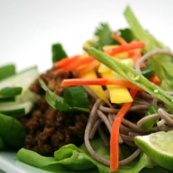 Vegetarian Lettuce Wraps