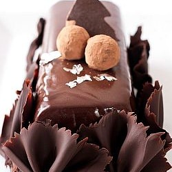 Chocolate Chesnut Yule Log