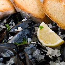 Mussels in White Wine Sauce