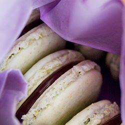 Pistachio Chocolate Macarons