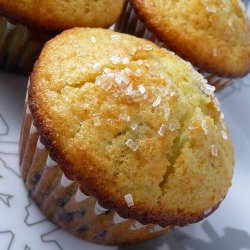 Orange Berry Muffin