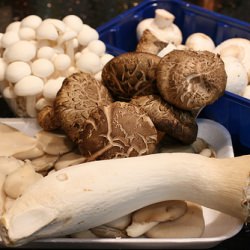 Five Mushrooms in Vegetarian Oyster