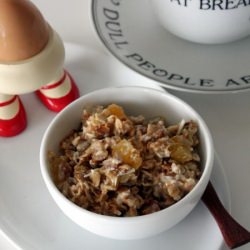 Mango and Coconut Muesli (low fat)