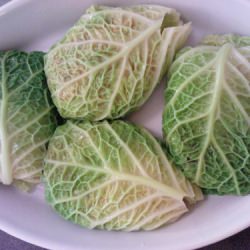 Auvergnat Stuffed Cabbage