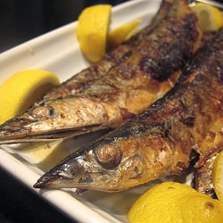 Broiled Pike Mackerel