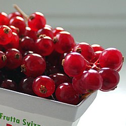 Red Currants