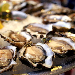 Hog Island Oyster Platter