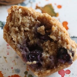 Low Fat Oatmeal Blueberry Muffins