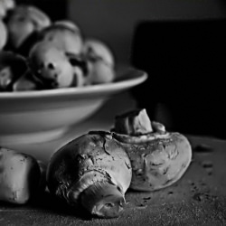 Cream of Mushroom Soup
