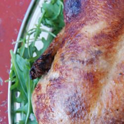 Roast Duck