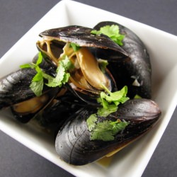 Thai Steamed Mussels