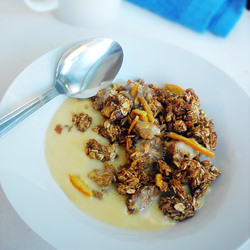 Tangy Crunchy Granola