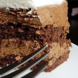Chocolate Mousse Cake