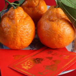 Lunar New Year