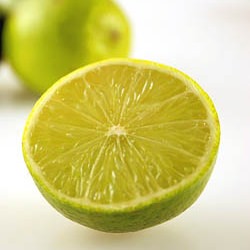 Lime Glossary