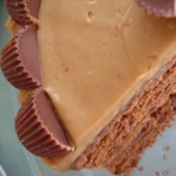Chocolate Peanut Butter Cake