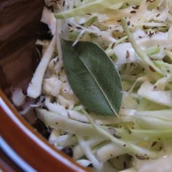 Homemade Sauerkraut