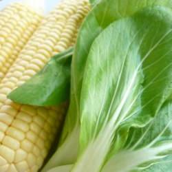 Corn and Baby Bok Choy