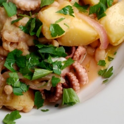 Octopus