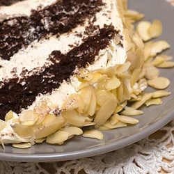 Chocolate and Coffee Cake