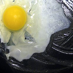 Eggs and Food Poetry
