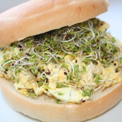 Tofu Egg Salad