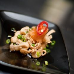 Crispy Chicken Cracklin’s