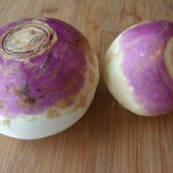 Mashed Turnips with Parmesan