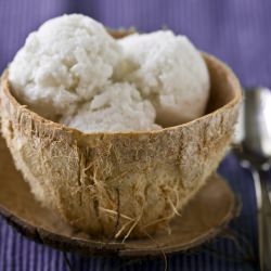 Vegan Coconut Ice Cream