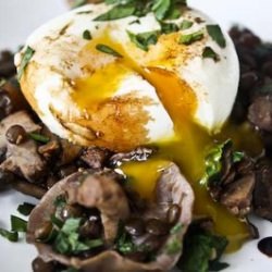 Lentil/Mushroom Hash + Poached Egg