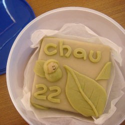 Snowskin Matcha and White Choc Cake