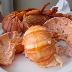 Fresh Lobster Tail