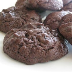 Chewy Cocoa Cookies