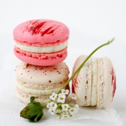 Strawberry & Vanilla Bean Macarons