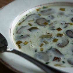 Cream of Mushroom Soup