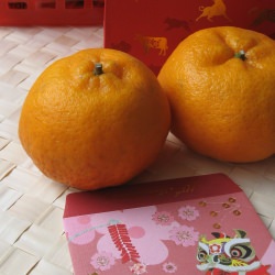 Mandarin Oranges