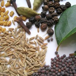 Spices for Pepper Chicken