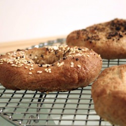 Jewish Bagels are the Best