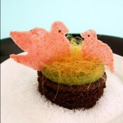 Daring Bakers: Tuile Cookies